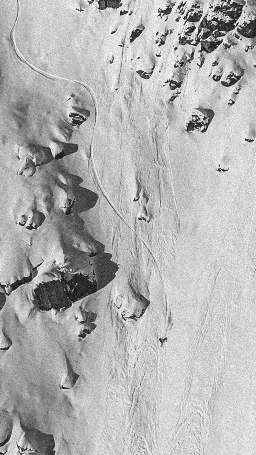 JeremyPrevost@copyright-1530