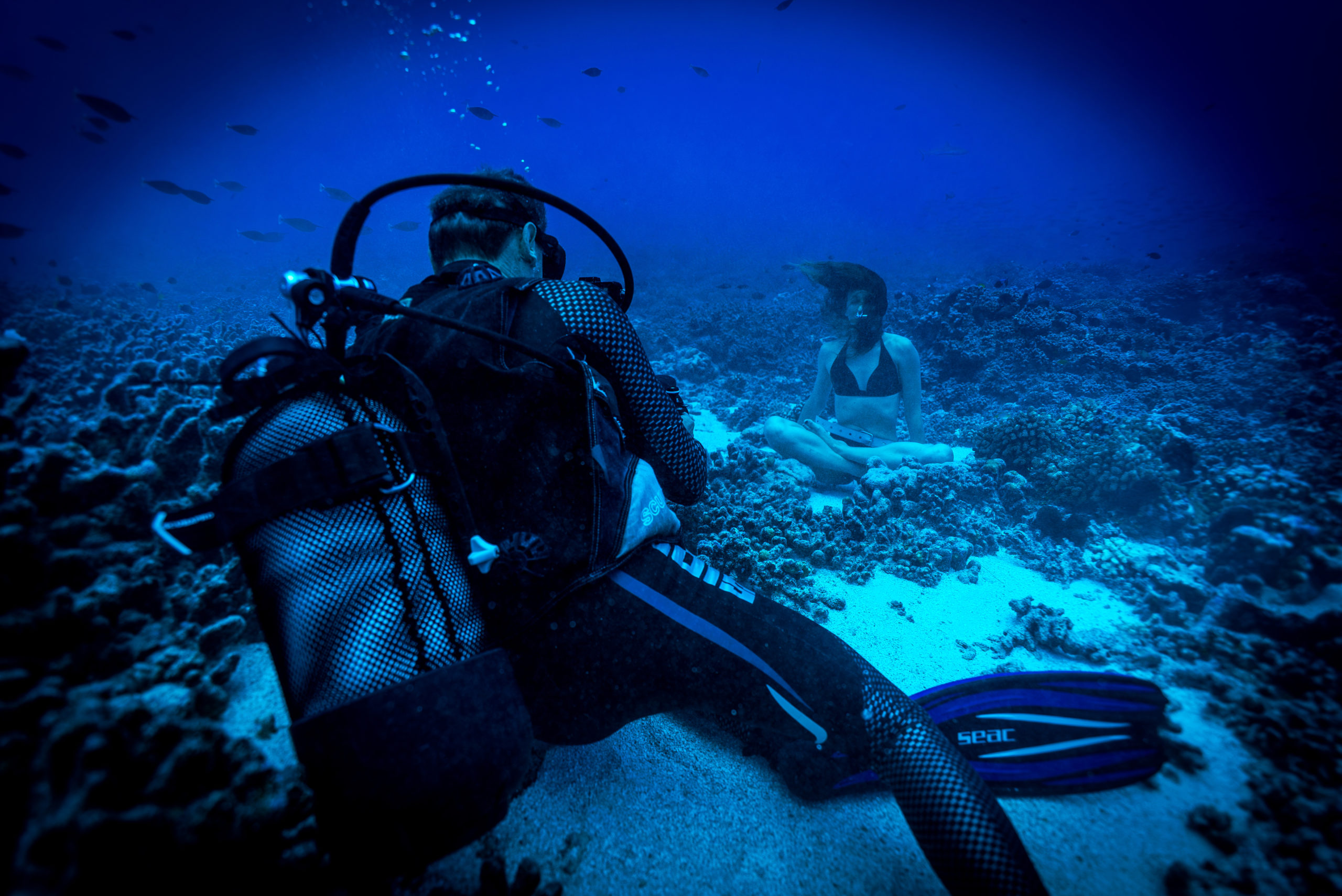 _NDGCINEMA The Call - Freediving - @Sanda-Delija & @Thierry-Donard_©NDG2026-06